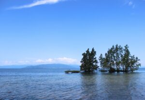 Img 20260610 Wa0018