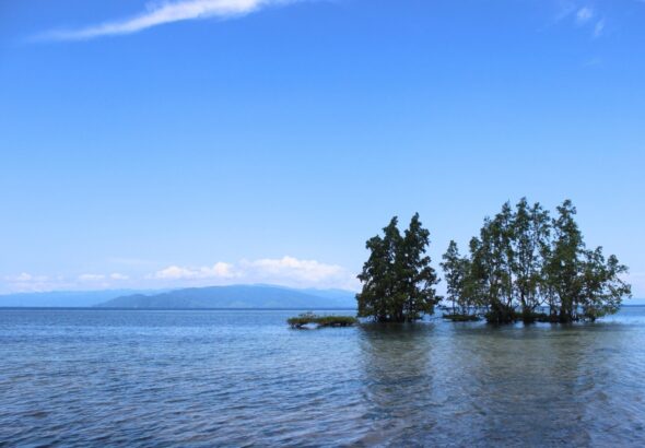 Img 20260610 Wa0018